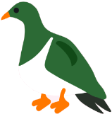 kererū